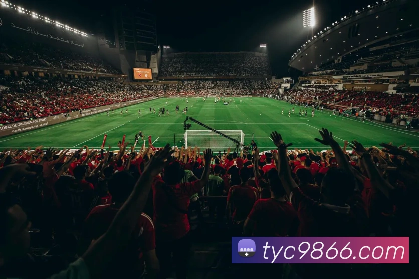 太阳城官网平台生态图